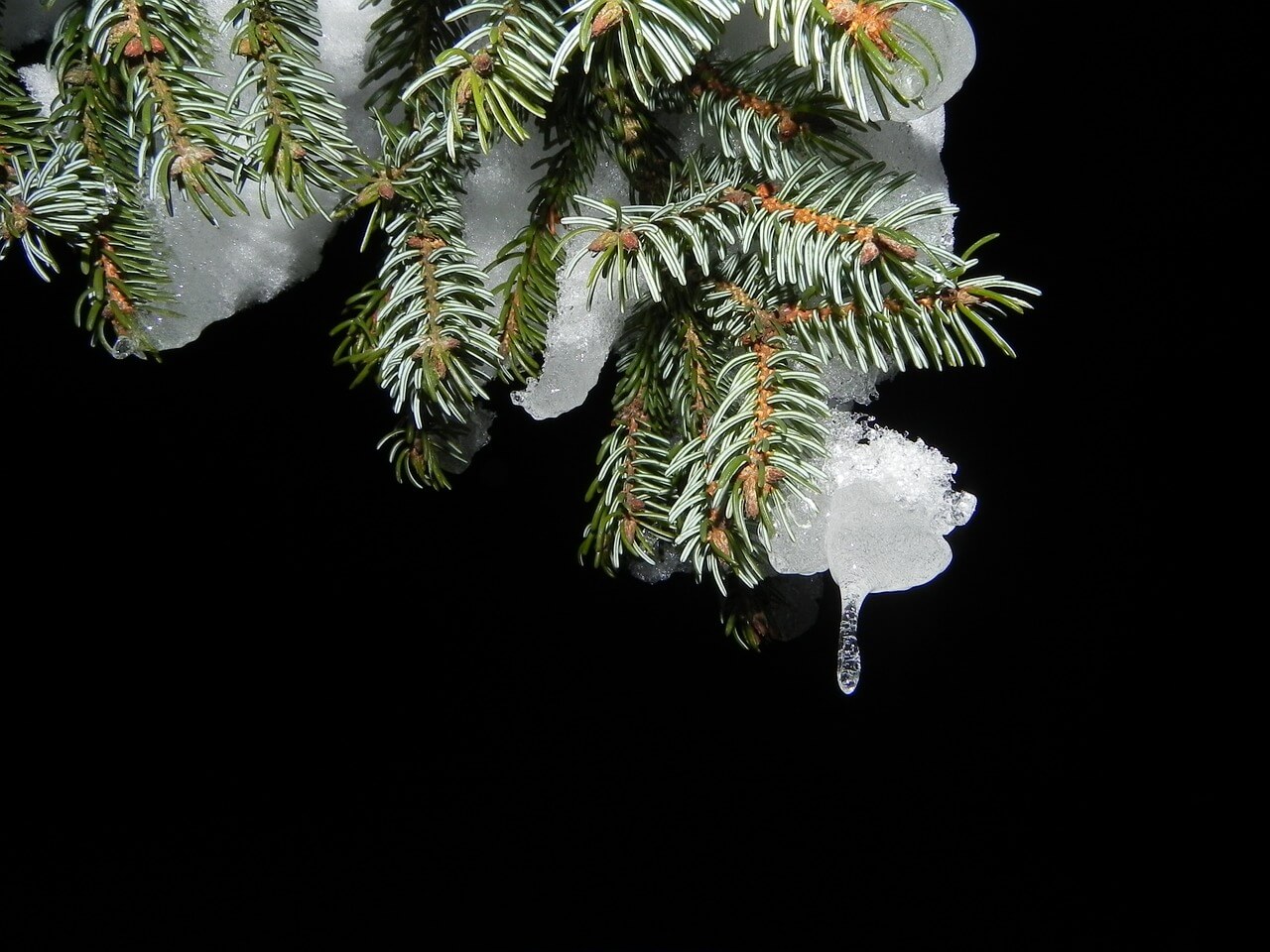 La malinconia del Natale. Perché durante le feste aumenta la tristezza.